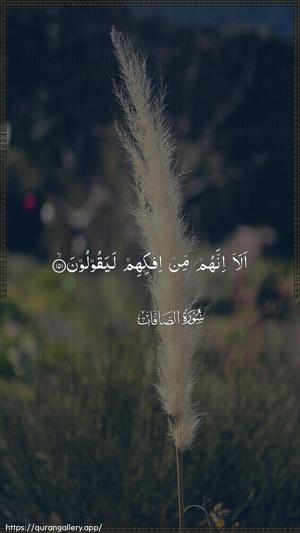 As-Saaffaat Ayah 151 - Arabic wallpaper