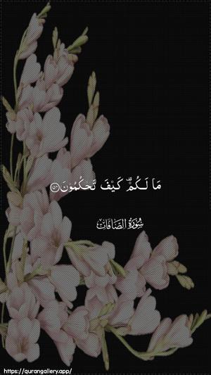 As-Saaffaat Ayah 154 - Arabic wallpaper