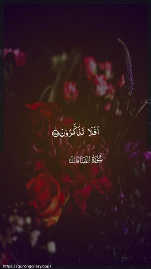 As-Saaffaat Ayah 155 - Arabic wallpaper