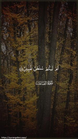 As-Saaffaat Ayah 156 - Arabic wallpaper