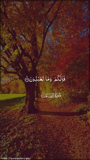As-Saaffaat Ayah 161 - Arabic wallpaper