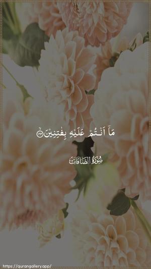 As-Saaffaat Ayah 162 - Arabic wallpaper