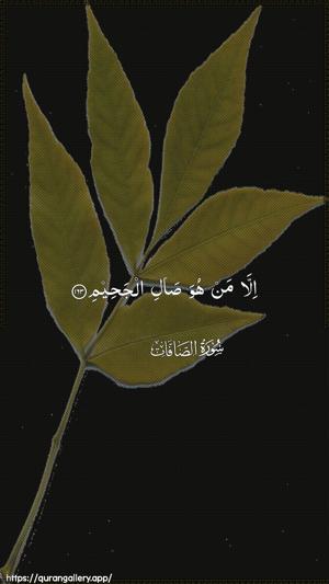 As-Saaffaat Ayah 163 - Arabic wallpaper