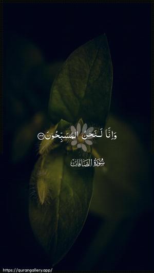 As-Saaffaat Ayah 166 - Arabic wallpaper