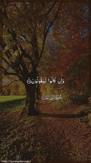 As-Saaffaat Ayah 167 - Arabic wallpaper