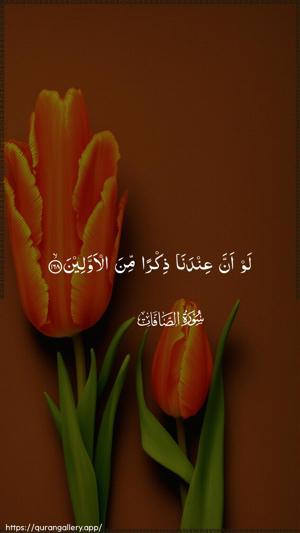 As-Saaffaat Ayah 168 - Arabic wallpaper