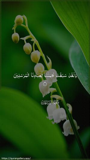As-Saaffaat Ayah 171 - Arabic wallpaper