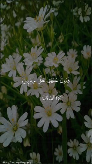 As-Saaffaat Ayah 174 - Arabic wallpaper