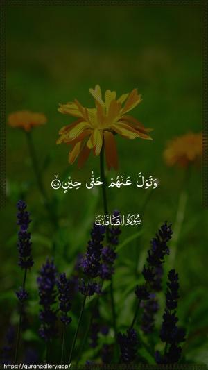 As-Saaffaat Ayah 178 - Arabic wallpaper