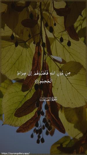 As-Saaffaat Ayah 23 - Arabic wallpaper