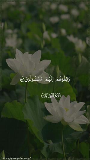 As-Saaffaat Ayah 24 - Arabic wallpaper