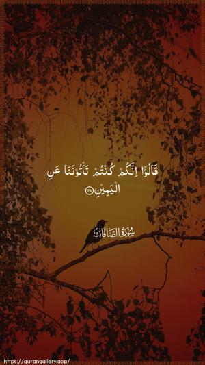 As-Saaffaat Ayah 28 - Arabic wallpaper