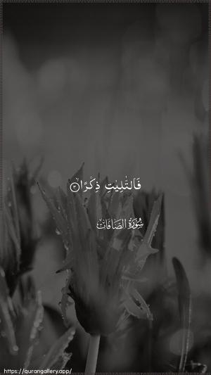As-Saaffaat Ayah 3 - Arabic wallpaper