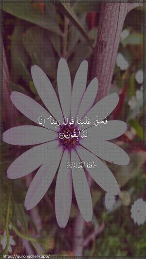 As-Saaffaat Ayah 31 - Arabic wallpaper