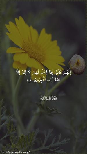 As-Saaffaat Ayah 35 - Arabic wallpaper