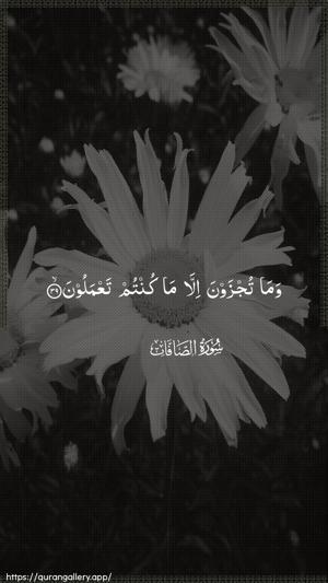 As-Saaffaat Ayah 39 - Arabic wallpaper