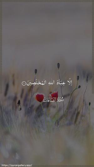 As-Saaffaat Ayah 40 - Arabic wallpaper