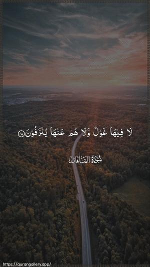As-Saaffaat Ayah 47 - Arabic wallpaper