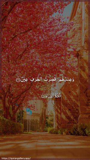 As-Saaffaat Ayah 48 - Arabic wallpaper