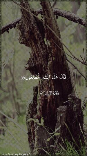 As-Saaffaat Ayah 54 - Arabic wallpaper