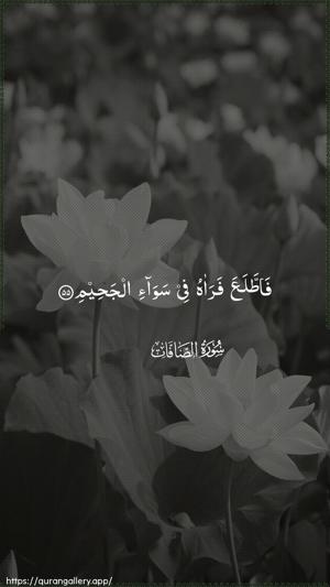 As-Saaffaat Ayah 55 - Arabic wallpaper