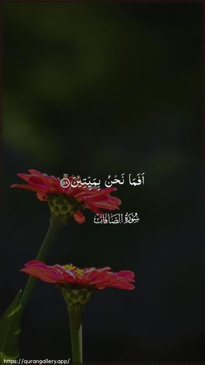 As-Saaffaat Ayah 58 - Arabic wallpaper