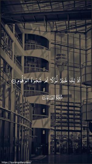 As-Saaffaat Ayah 62 - Arabic wallpaper
