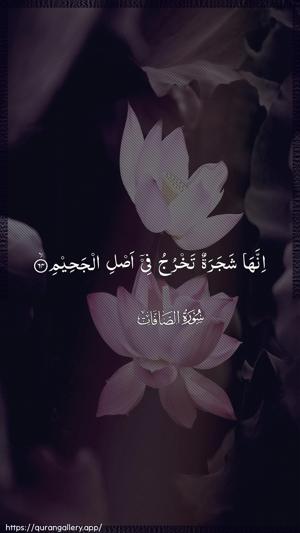 As-Saaffaat Ayah 64 - Arabic wallpaper