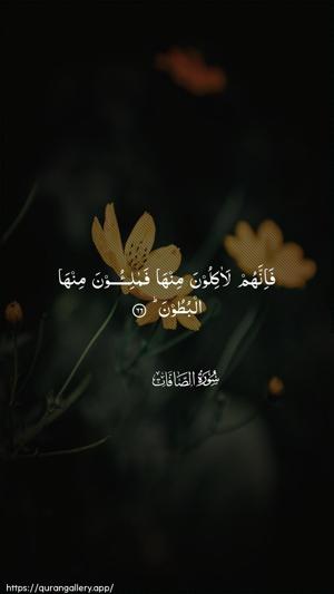 As-Saaffaat Ayah 66 - Arabic wallpaper