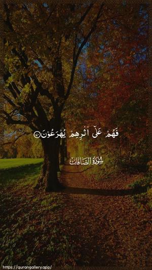 As-Saaffaat Ayah 70 - Arabic wallpaper