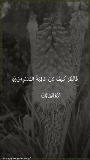 As-Saaffaat Ayah 73 - Arabic wallpaper
