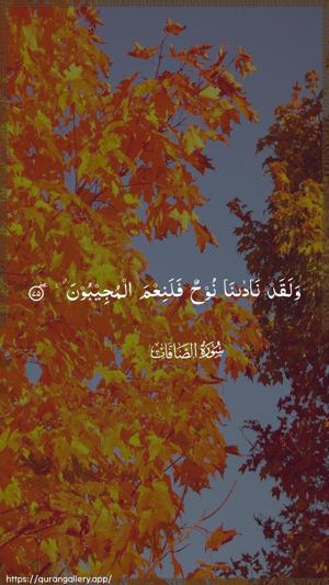 As-Saaffaat Ayah 75 - Arabic wallpaper