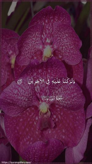 As-Saaffaat Ayah 78 - Arabic wallpaper
