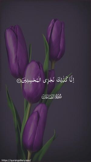 As-Saaffaat Ayah 80 - Arabic wallpaper