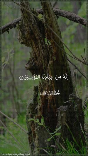 As-Saaffaat Ayah 81 - Arabic wallpaper
