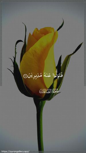 As-Saaffaat Ayah 90 - Arabic wallpaper