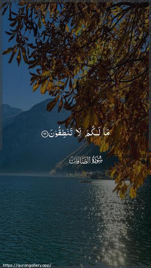 As-Saaffaat Ayah 92 - Arabic wallpaper