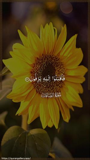 As-Saaffaat Ayah 94 - Arabic wallpaper