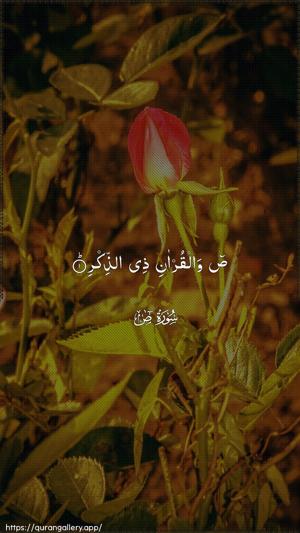 Saad Ayah 1 - Arabic wallpaper