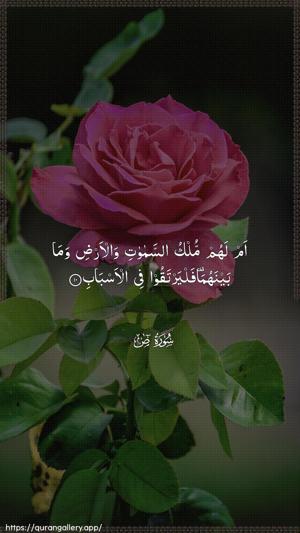 Saad Ayah 10 - Arabic wallpaper