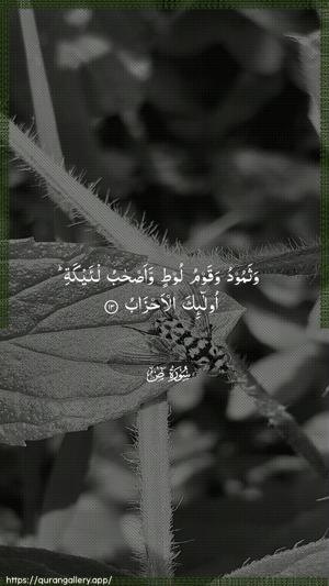 Saad Ayah 13 - Arabic wallpaper
