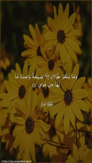 Saad Ayah 15 - Arabic wallpaper