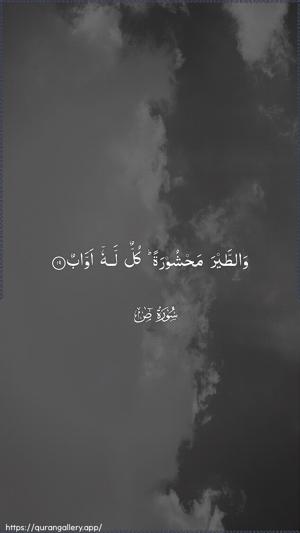 Saad Ayah 19 - Arabic wallpaper