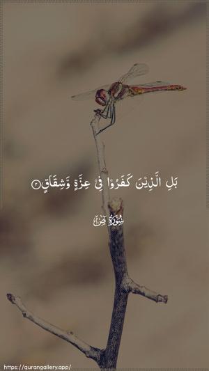 Saad Ayah 2 - Arabic wallpaper