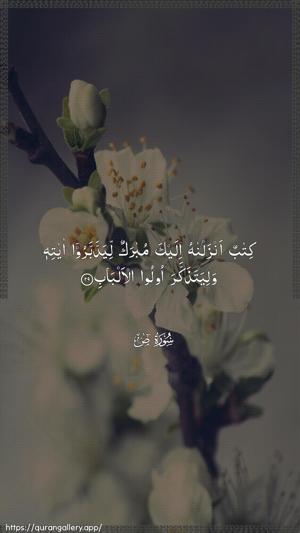 Saad Ayah 29 - Arabic wallpaper
