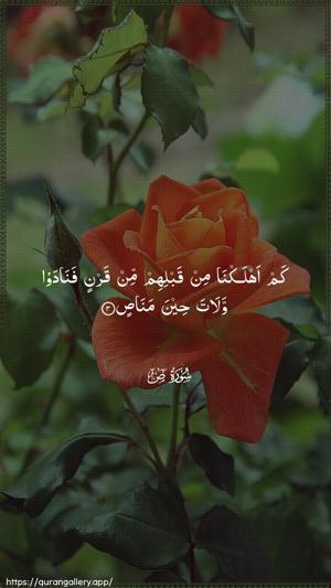 Saad Ayah 3 - Arabic wallpaper