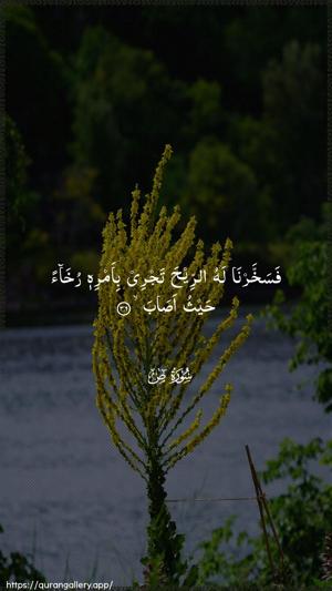 Saad Ayah 36 - Arabic wallpaper