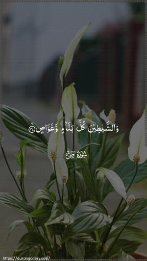 Saad Ayah 37 - Arabic wallpaper