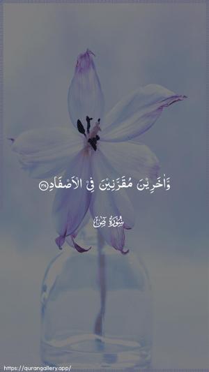 Saad Ayah 38 - Arabic wallpaper