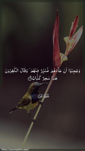 Saad Ayah 4 - Arabic wallpaper